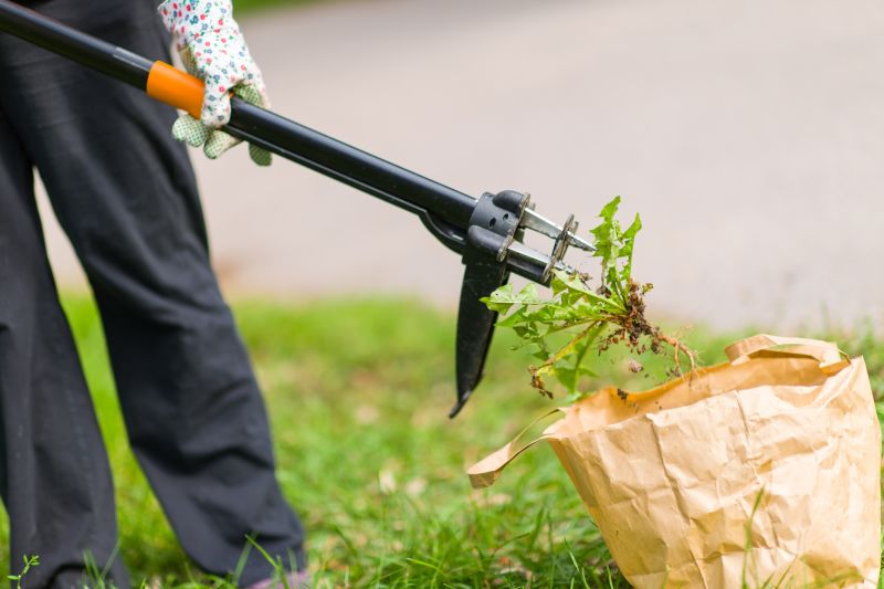 Weed Removal Tools