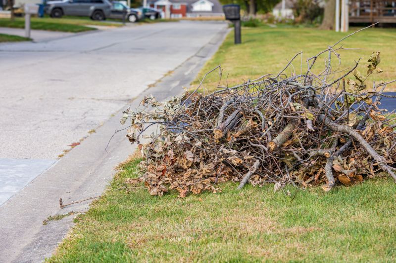 Tree Branches Removal in Ventura County, CA