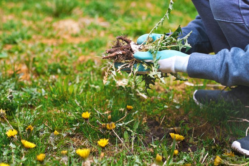 Local Garden Weeding Service pros at work